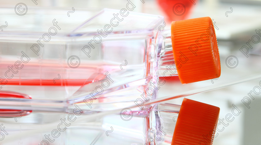 CellCulture009 
 Cell culture media 
 Keywords: biomedical, biology, biological, medical, cell, cell-technology, tissue-culture, pipette, pippetting, media, culture-media, plasticware, scientific, laboratory, scientist, growing,